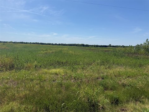 Land, Celeste, TX