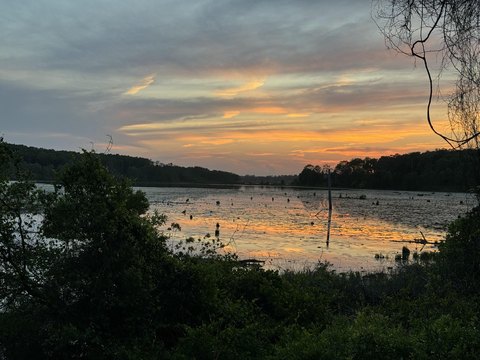 Lake View Lot in Florida