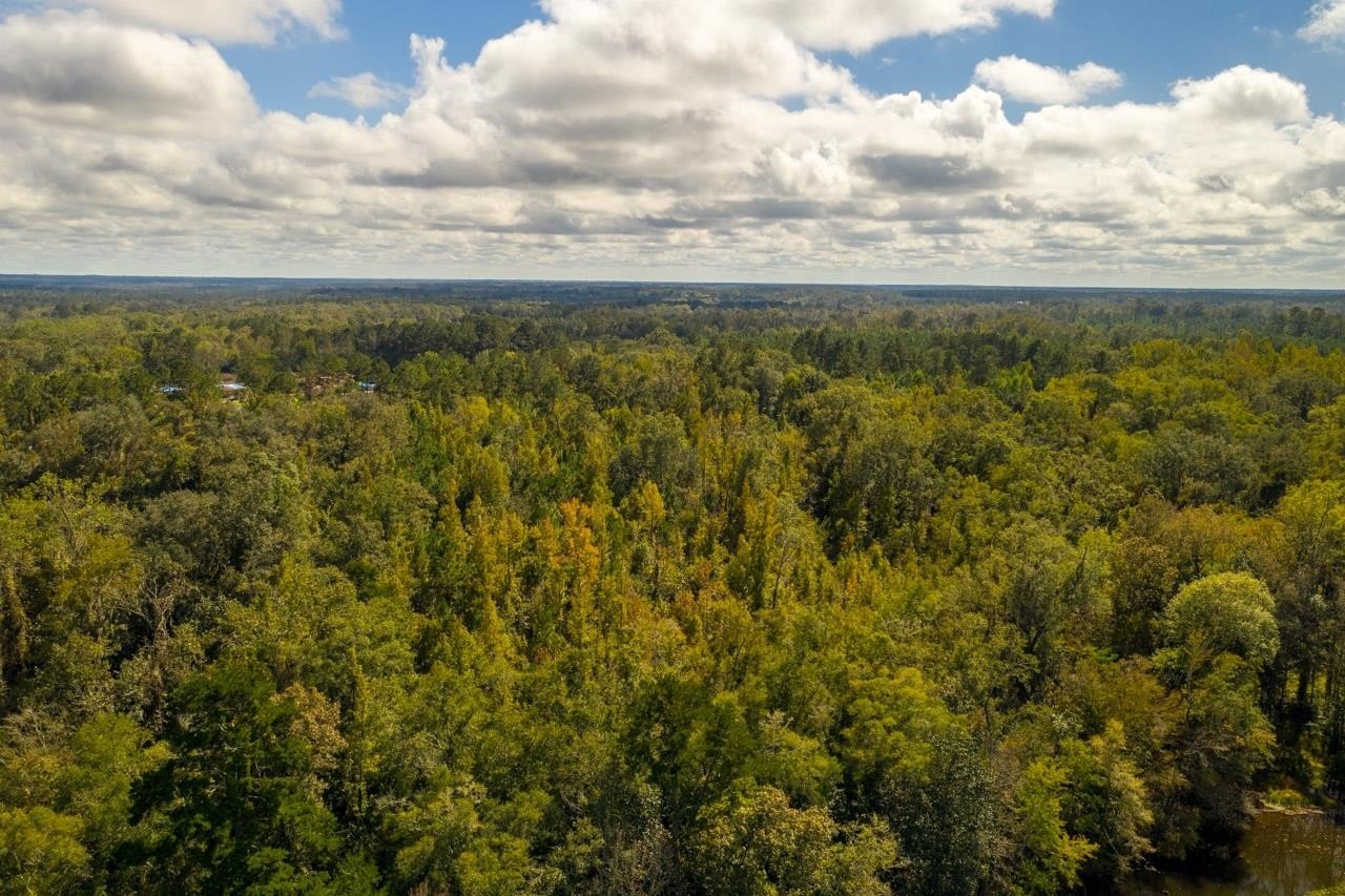 28 Acres in Quincy, Florida