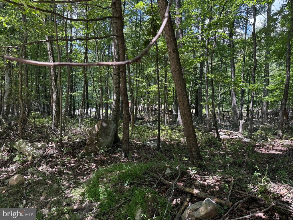 Picture 6