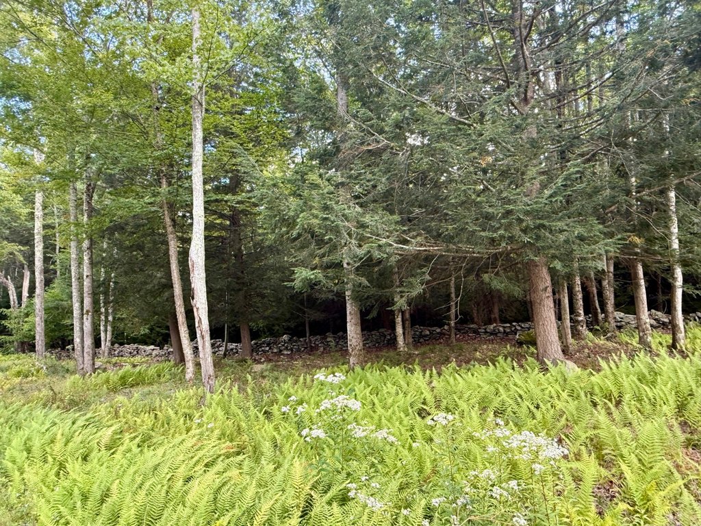 Picture 19