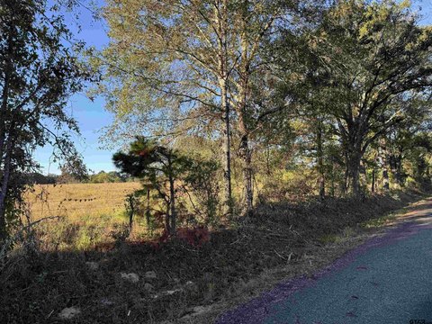 Unrestricted 10-Acre Tract
