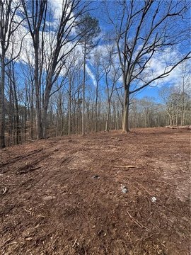 Land, Bowman, GA