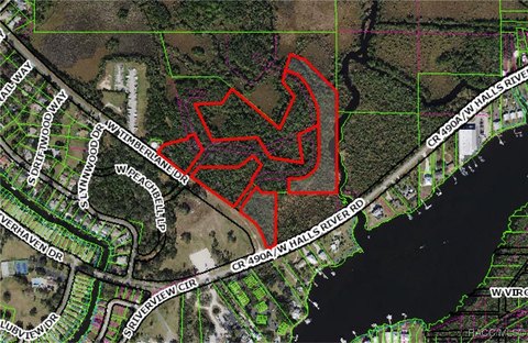 Homosassa Acreage Near River