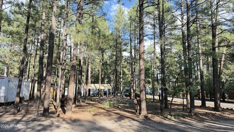 Land, Lakeside, AZ