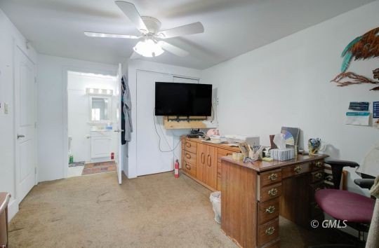Picture 7