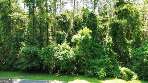 LAND - Woodbine, GA