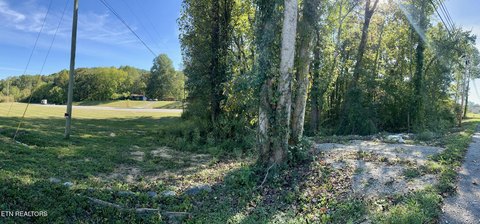 Lots & Acreage, Robbins, TN