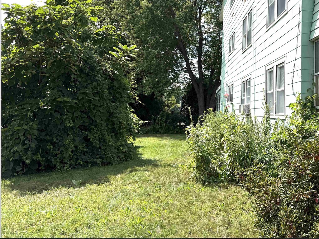 Picture 45