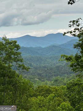 Land with Mountain and Lake Views