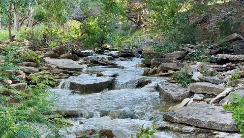 Coryell County Ranch Opportunity