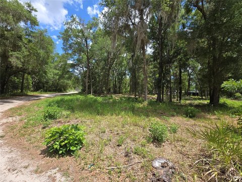 Ocala Land Ready For Building