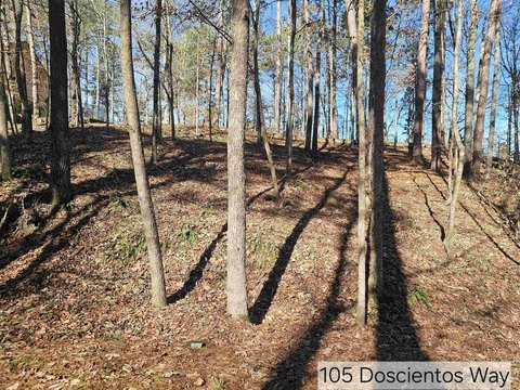 Golf-Frontage Lot in Gated Community