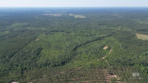 Recreational Hunting Land with Timber Regrowth