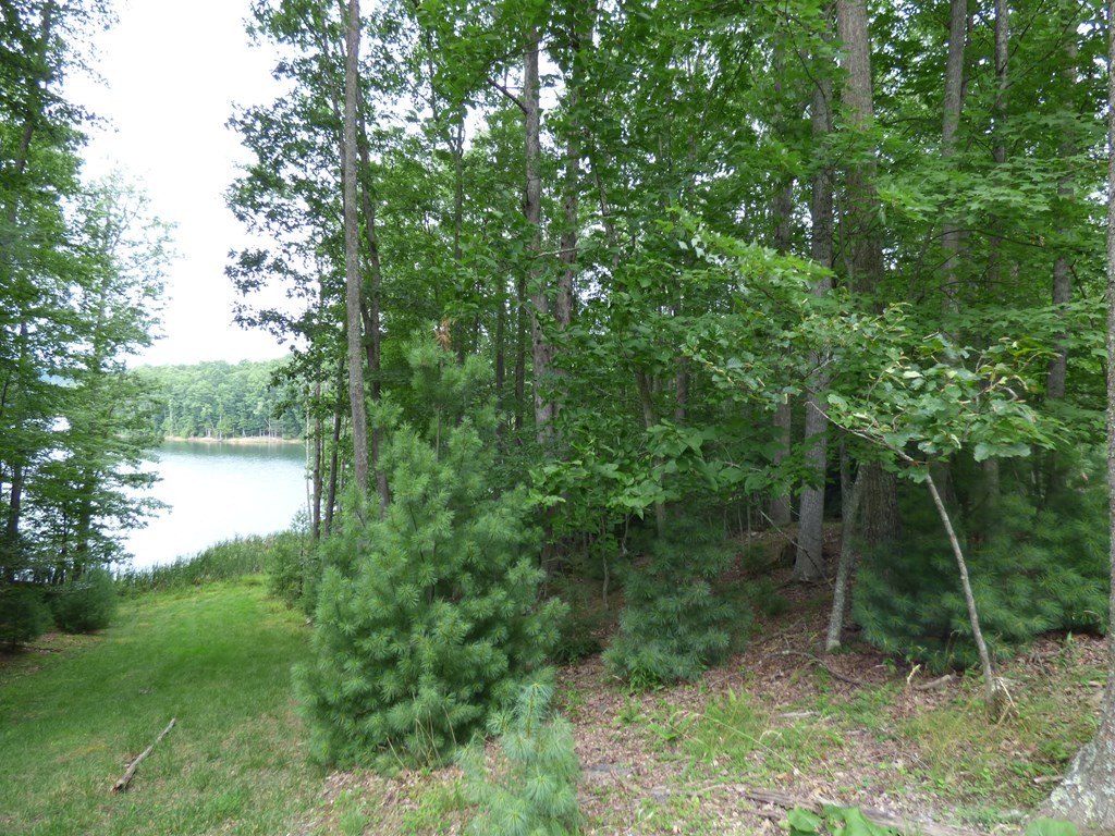 Picture 4