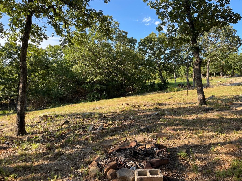 Picture 25