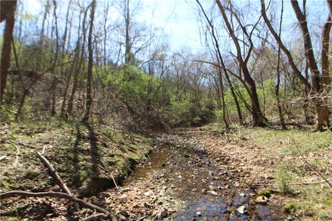 Fayetteville Acreage Near City Limits