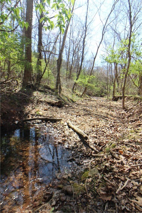 Picture 7
