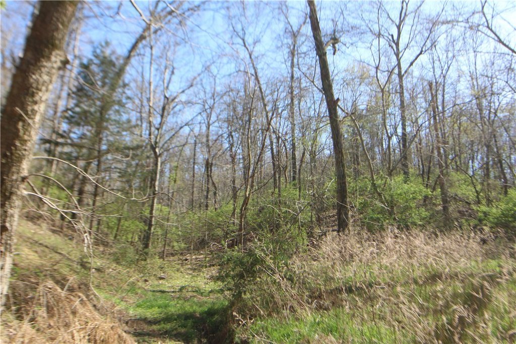 Picture 16