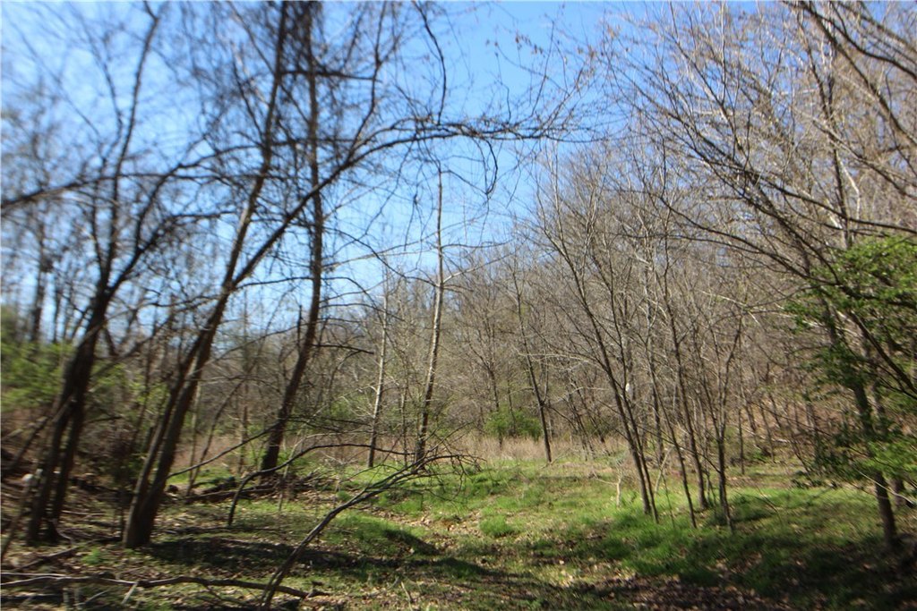 Picture 19