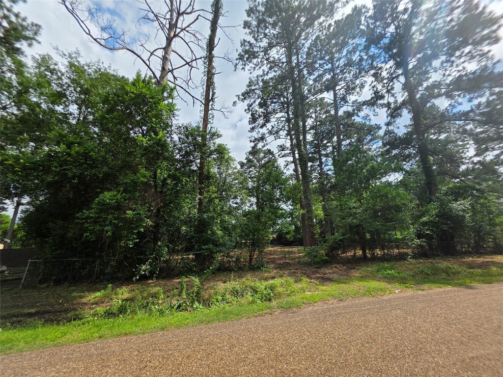 Picture 28