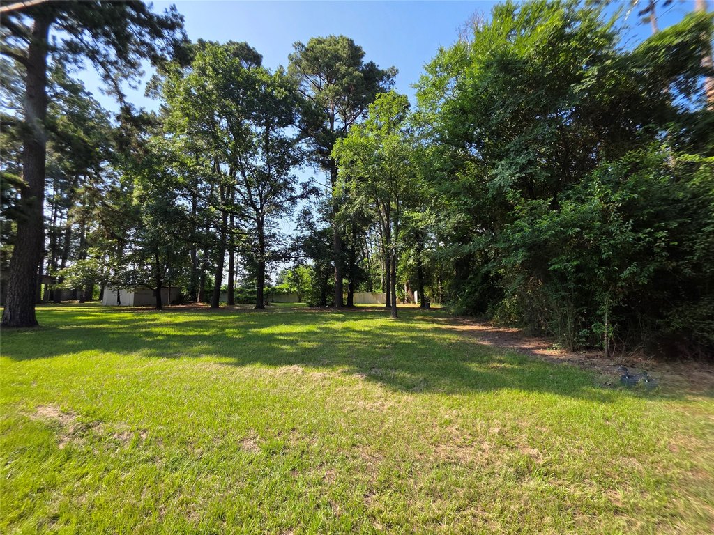 Picture 29