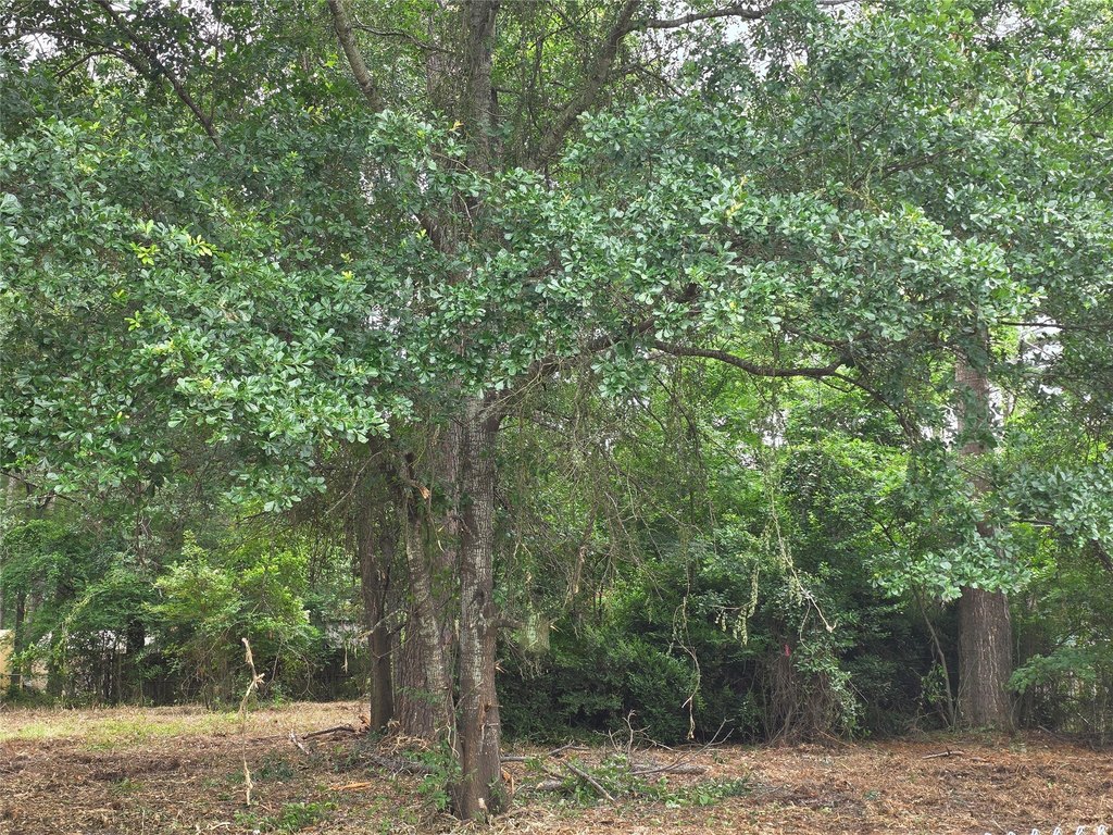 Picture 19