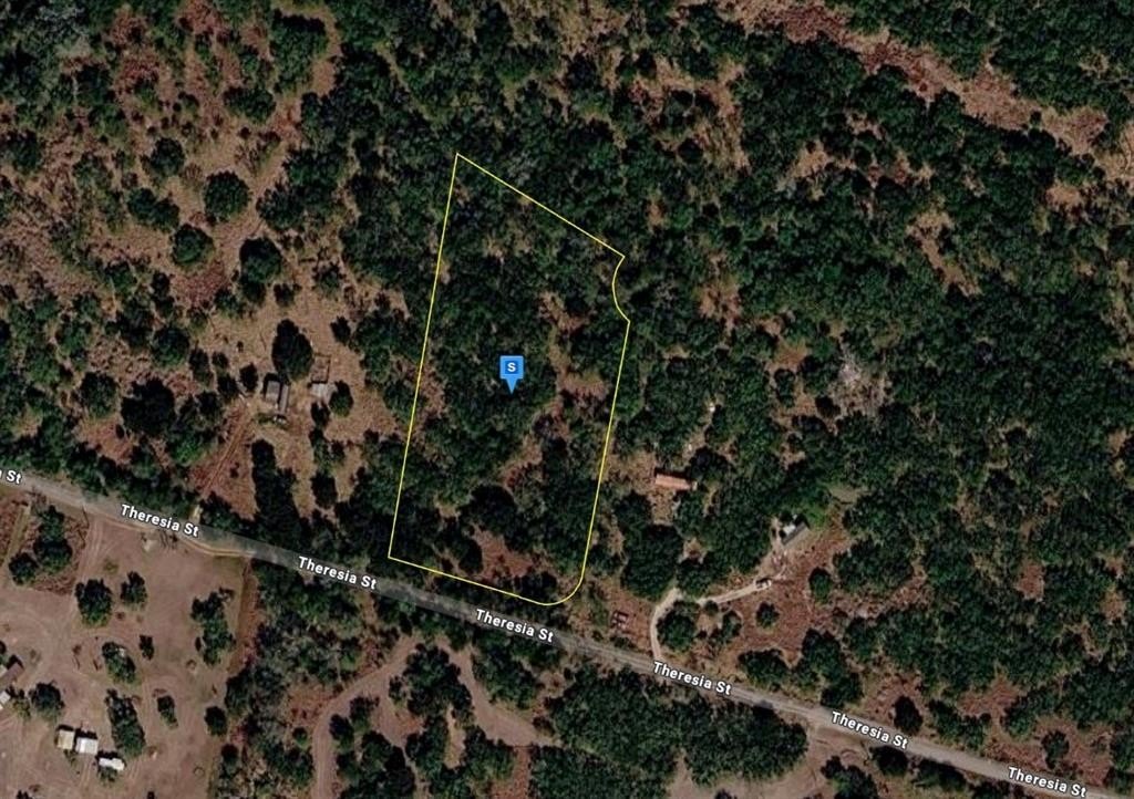 2.6 Acres of Wooded Land