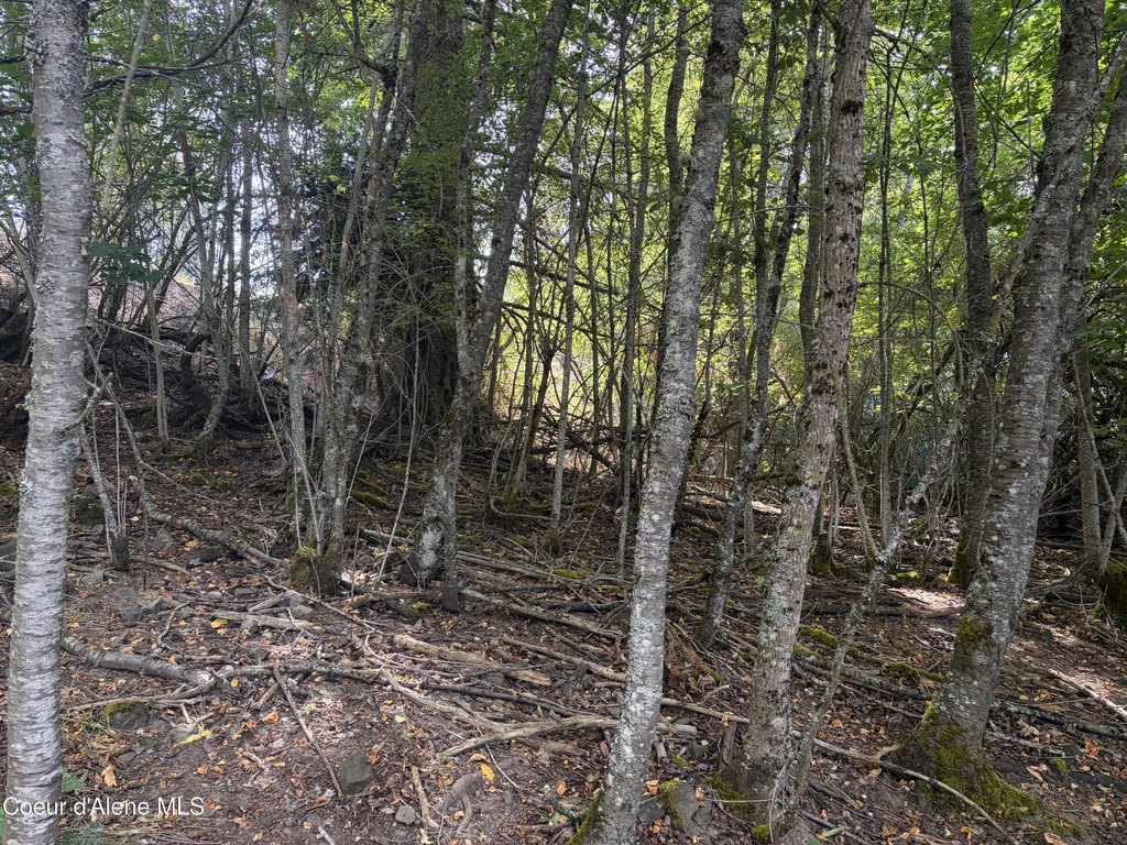 Picture 10