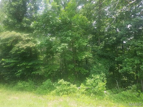 LAND - Van Buren, MO