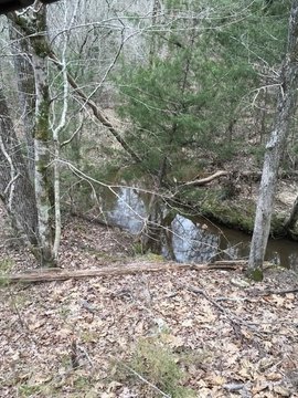 Land with Creek in Lincolnton