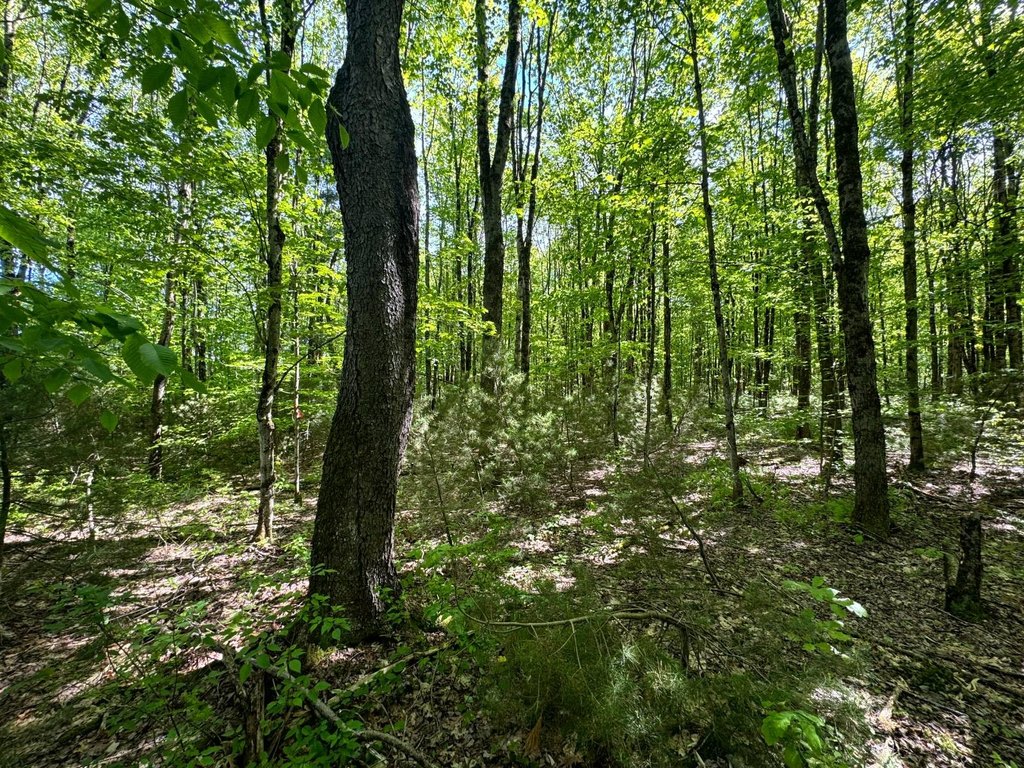 Picture 7