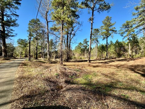 Unrestricted Land in Quiet Neighborhood