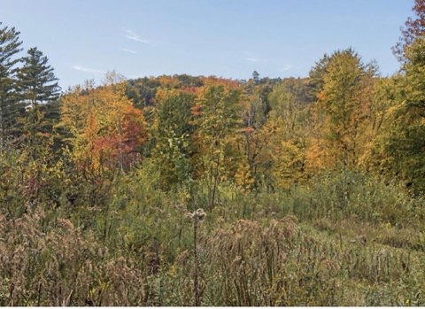 Land, Richmond, VT