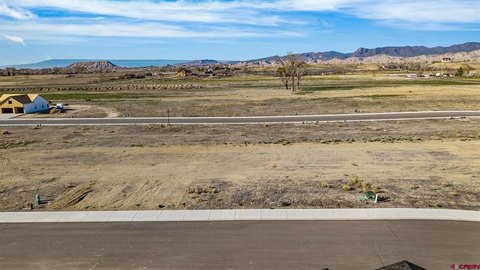 LAND, Montrose, CO