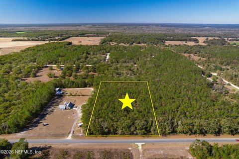 Spacious Land in Bell, Florida
