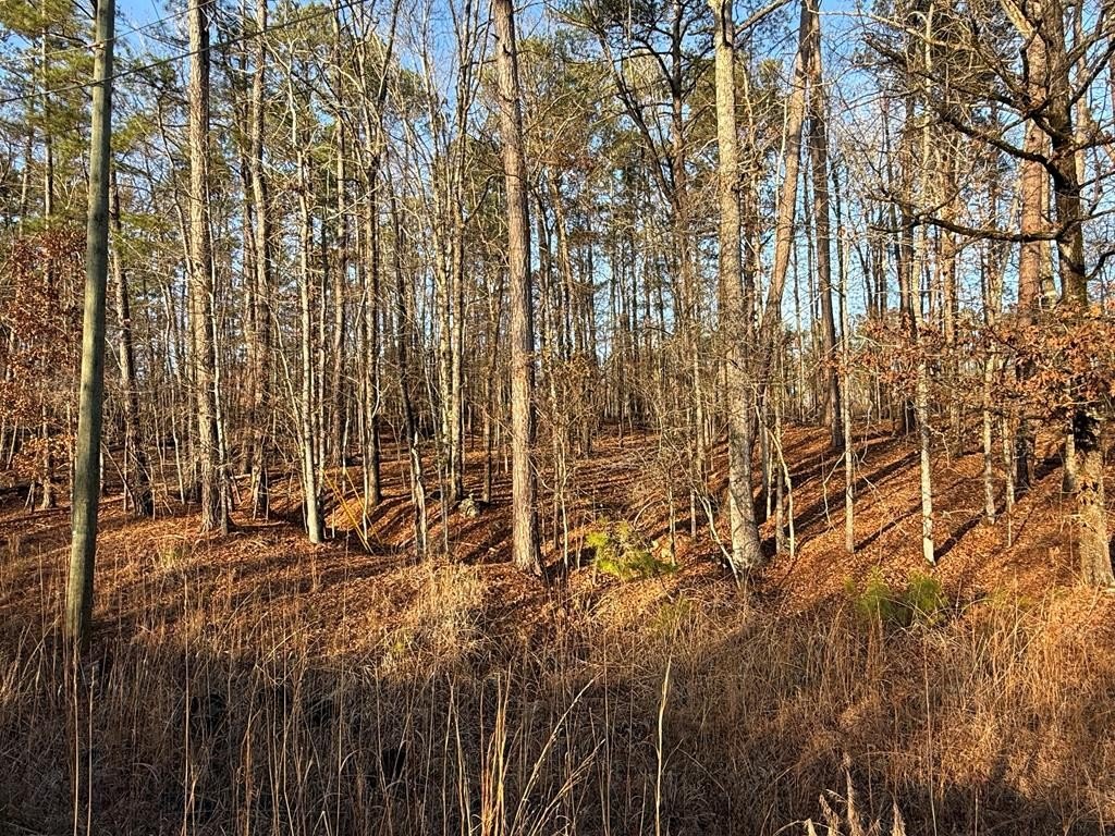 Wooded Lots with Lake Access