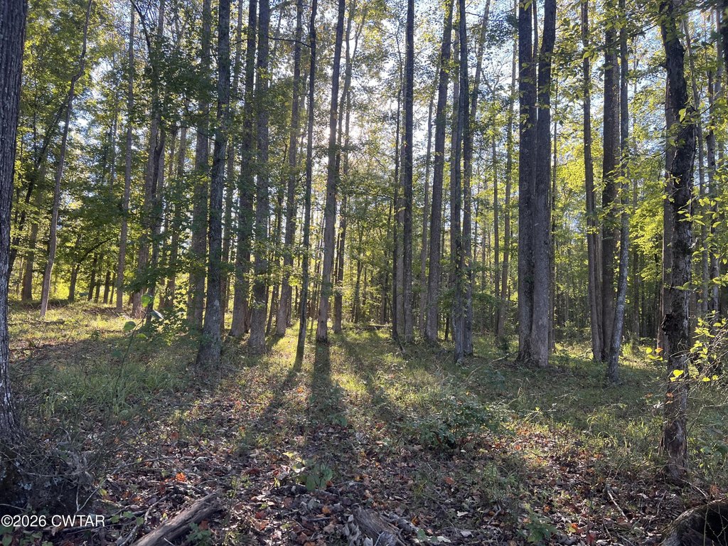 Picture 16