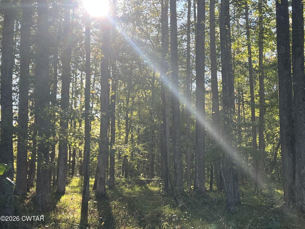 Picture 22