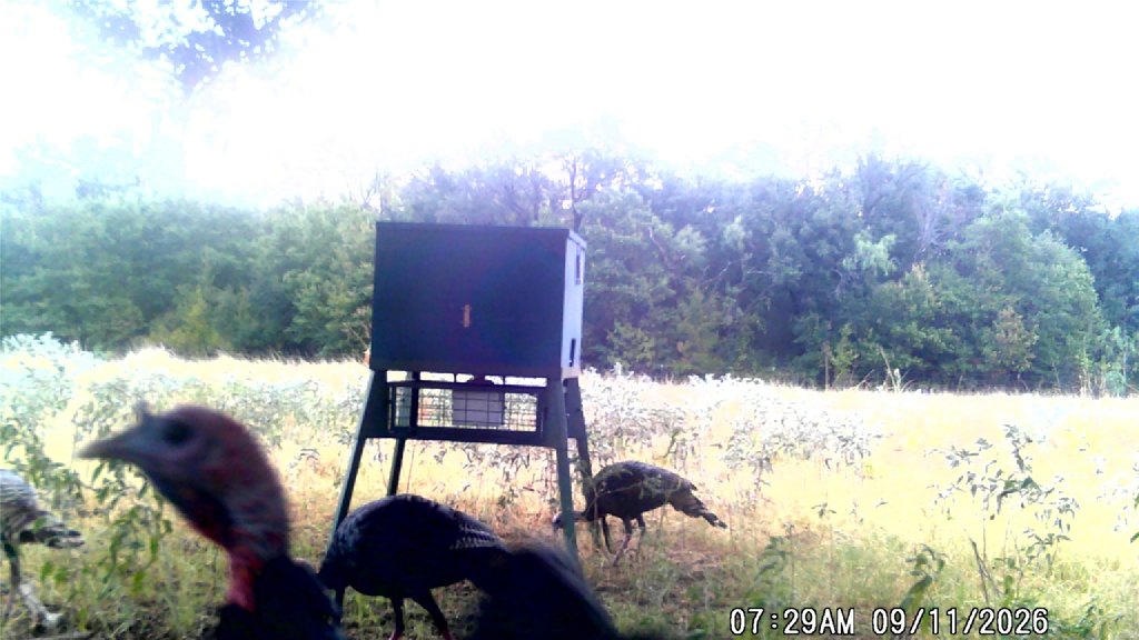 Picture 17