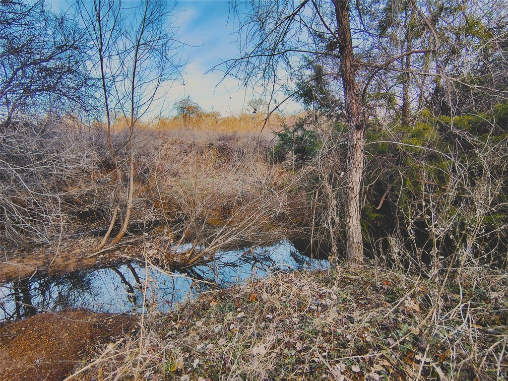 Picture 15