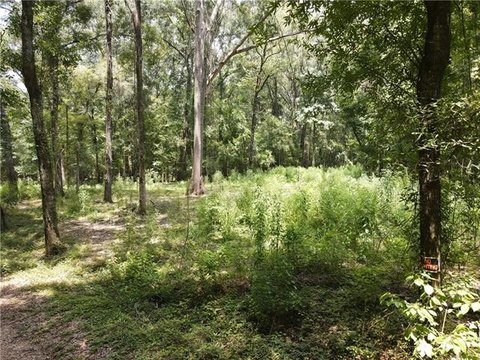 Hessmer, LA Sportsman's Retreat Land