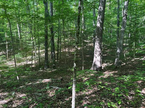 LAND - Clarksville, VA