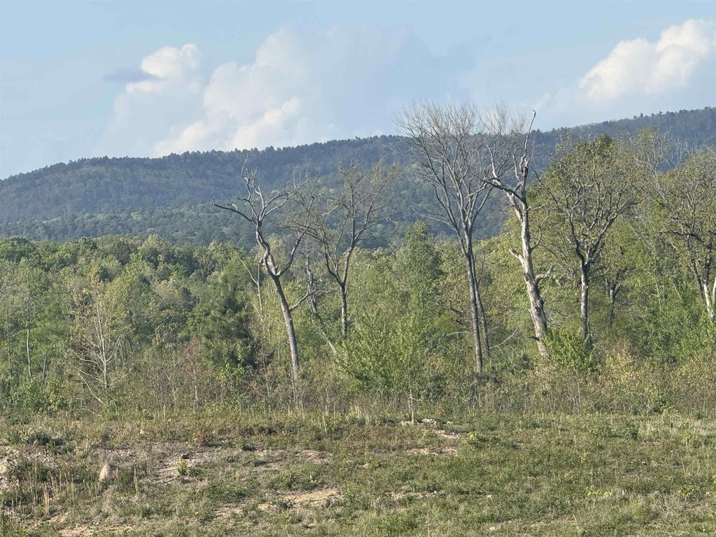 Picture 34