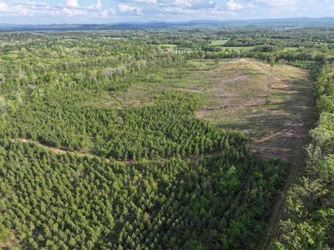 79 Acres of Versatile Land