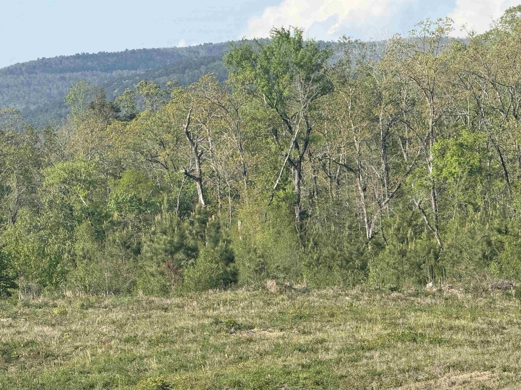 Picture 35