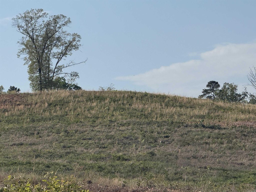 Picture 30
