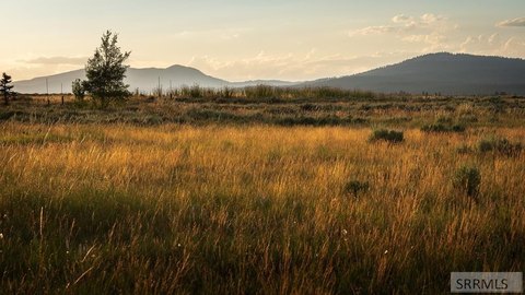 Land, Island Park, ID