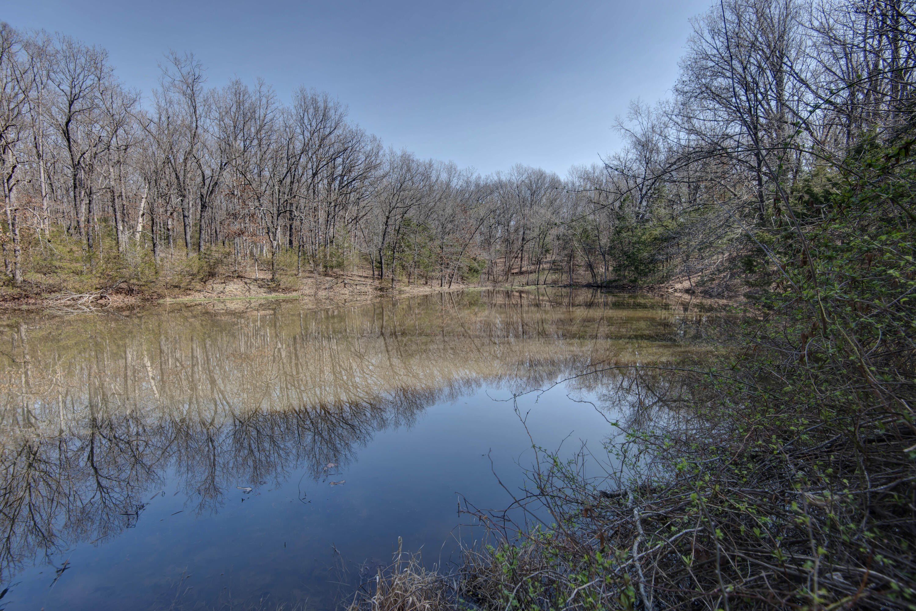 Land with Pond in Elkland