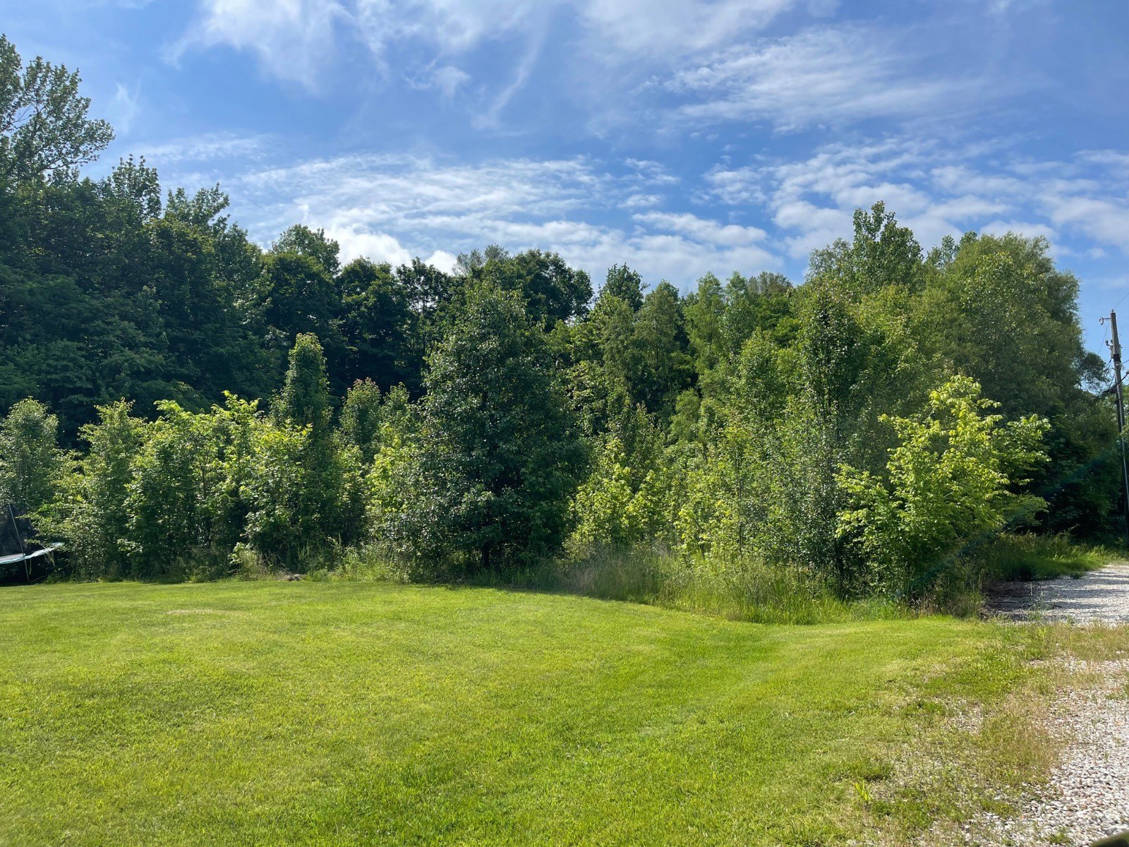 Wooded Lot in Tell City